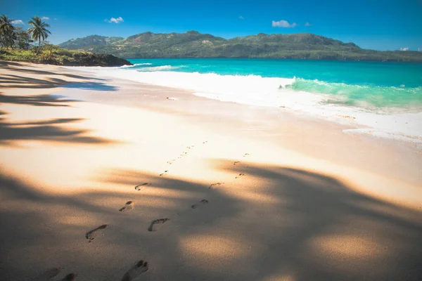 Θάλασσα Καραϊβική Τοπίο Στη Δομινικανή Δημοκρατία Φοίνικες Αμμώδη Παραλία Πράσινα — Φωτογραφία Αρχείου