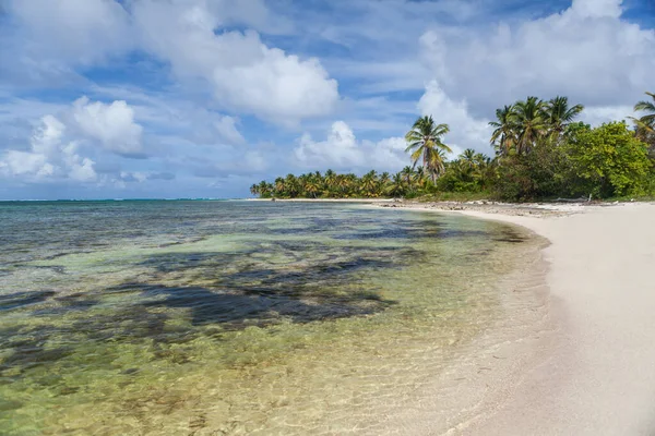 Paysage Plage Avec Sable Vagues Mousse Blanche Palmiers Ciel Bleu — Photo