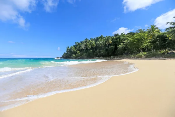 Παραλία Τοπίο Άμμο Λευκό Αφρό Κύματα Φοίνικες Μπλε Ουρανό Τυρκουάζ — Φωτογραφία Αρχείου