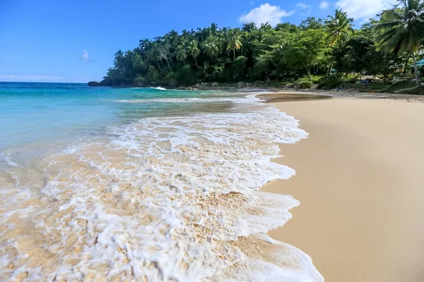 Παραλία Τοπίο Άμμο Λευκό Αφρό Κύματα Φοίνικες Μπλε Ουρανό Τυρκουάζ — Φωτογραφία Αρχείου