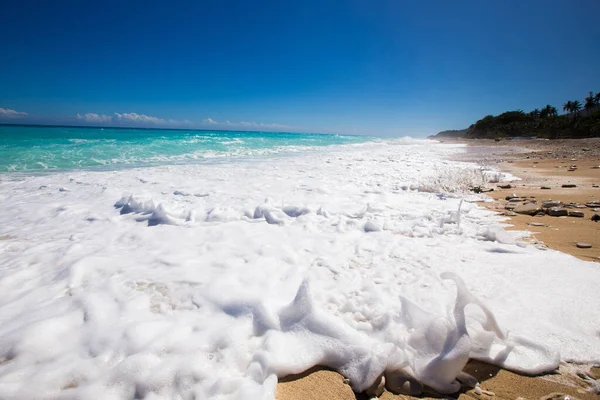 Paesaggio Balneare Con Sabbia Onde Schiuma Bianca Palme Cielo Blu — Foto Stock