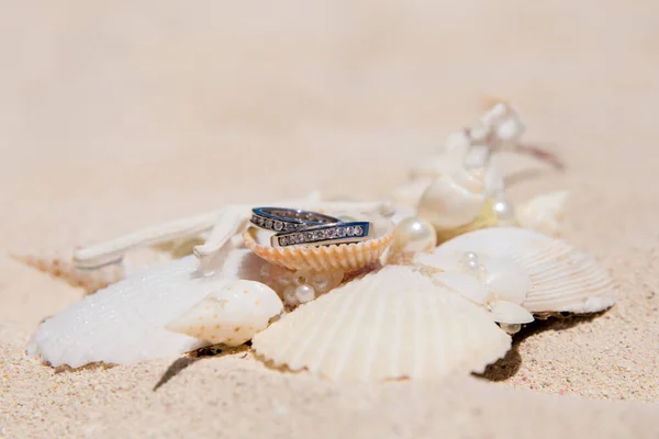 Anillos Boda Cerca Náutico Decorado Con Accesorios Para Ceremonia Boda —  Fotos de Stock