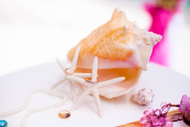 Alyanslar, Dominik Cumhuriyeti 'nin kumlu sahilinde tropikal düğün için aksesuarlarla süslenmiş Punta Cana' da.