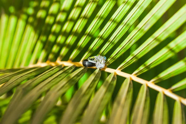 Anéis Casamento Close Decorado Náutico Com Acessórios Para Cerimônia Casamento — Fotografia de Stock