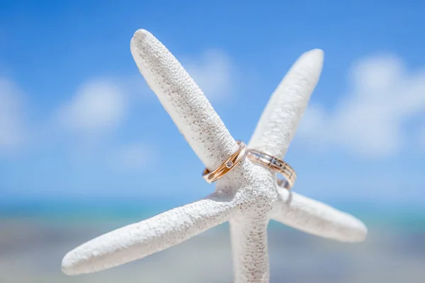 Anéis Casamento Close Decorado Náutico Com Acessórios Para Cerimônia Casamento — Fotografia de Stock