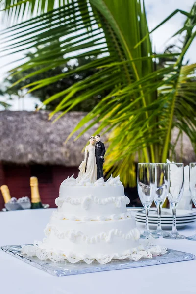Тропічний Весільний Торт Нареченої Нареченого Щоб Зрізати Під Час Весілля — стокове фото