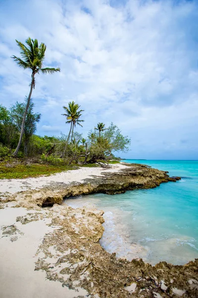 Mer Des Caraïbes Paysage République Dominicaine Avec Palmiers Plage Sable — Photo