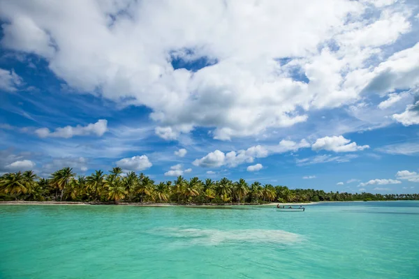 Dominik Cumhuriyeti 'nde palmiye ağaçları, kumlu plajlar, yeşil dağlar, kayalar, mavi gökyüzü ve turkuaz su ile Karayip manzarası 