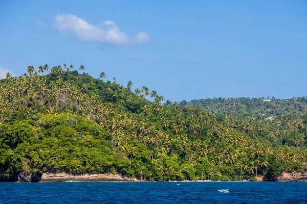 Морський Карибський Ландшафт Домініканської Республіки Пальмами Піщаними Берегами Зеленими Горами — стокове фото