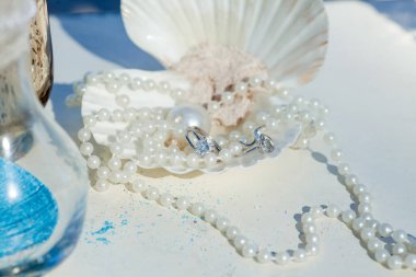 Alyanslar, Dominik Cumhuriyeti, Punta Cana 'daki kumlu kumsalda tropikal Karayipler için düzenlenen düğün aksesuarlarıyla donatılmış.