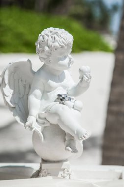 Alyanslar, Dominik Cumhuriyeti, Punta Cana 'daki kumlu kumsalda tropikal Karayipler için düzenlenen düğün aksesuarlarıyla donatılmış.