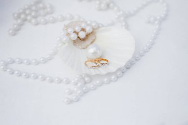 Alyanslar, Dominik Cumhuriyeti, Punta Cana 'daki kumlu kumsalda tropikal Karayipler için düzenlenen düğün aksesuarlarıyla donatılmış.