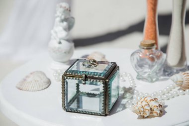 Alyanslar, Dominik Cumhuriyeti, Punta Cana 'daki kumlu kumsalda tropikal Karayipler için düzenlenen düğün aksesuarlarıyla donatılmış.