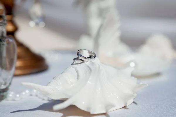 Anéis Casamento Close Decorado Náutico Com Acessórios Para Caribe Tropical — Fotografia de Stock