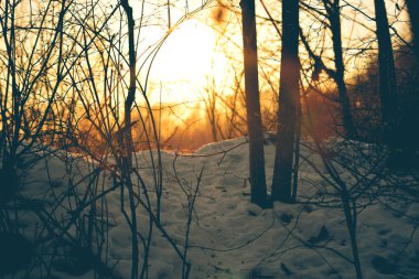 Uzak Doğu sihirli günbatımı
