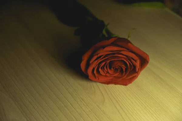 Rote einsame Rose auf dem Tisch — Stockfoto