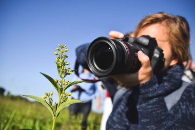 Macrophotography ders alanında