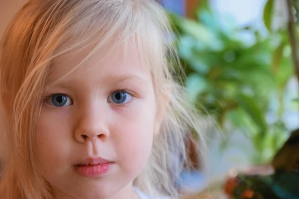 Little blue-eyed blonde — Stock Photo, Image