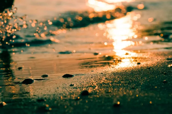 Asya Nehri'nin kıyı dalgalar