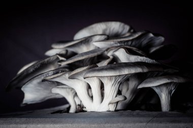 Evde yetiştirilen yenilebilir mantar