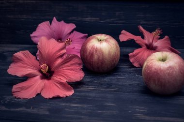 elma ve hibiscus çiçek siyah bir zemin üzerine