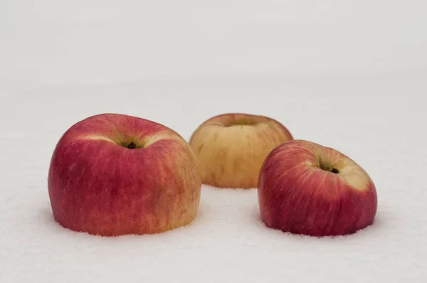 Three Red Apples Snow — Stock Photo, Image