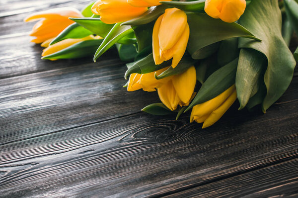 yellow tulips for your beloved woman