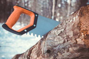 bir gövde kesme bir demir testeresi