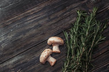 karanlık bir arka plan üzerinde bir yüzey üzerinde petrol