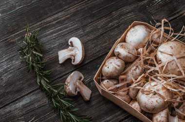 karanlık bir arka plan üzerinde bir yüzey üzerinde petrol