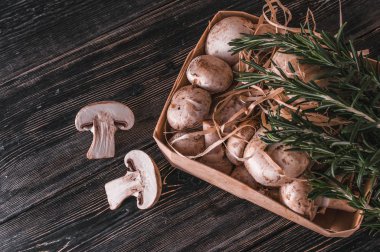 karanlık bir arka plan üzerinde bir yüzey üzerinde petrol