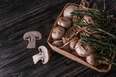 karanlık bir arka plan üzerinde bir yüzey üzerinde petrol