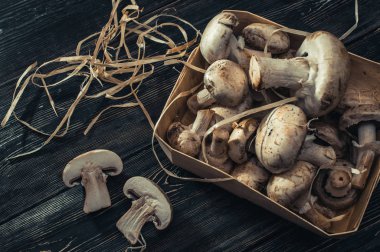 karanlık bir arka plan üzerinde bir yüzey üzerinde petrol