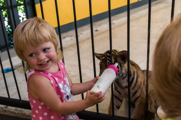 little girl is feeding a tiger cub