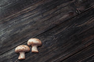 siyah kurullarında küçük beyaz mantar