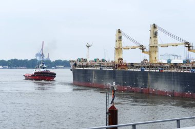 toplu taşıyıcı gemisi