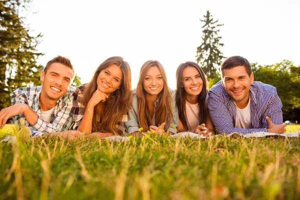 Retrato de cinco alegres amigos sonrientes tumbados en la hierba — Foto de Stock