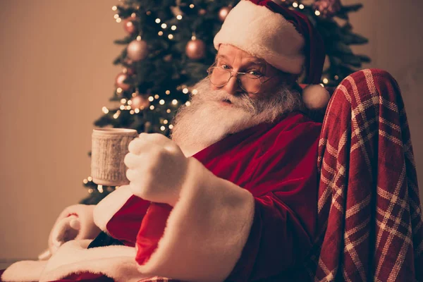 Feliz Papai Noel vestindo traje vermelho perto de pinheiro segurando xícara de h — Fotografia de Stock