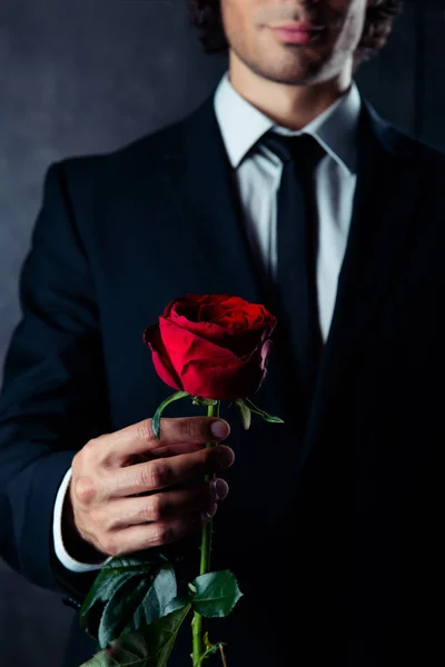 Bijgesneden foto van zakelijke man met dat een rode roos in zijn hand. Hij — Stockfoto