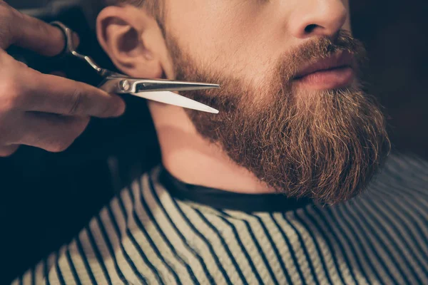 Beard styling and cut. Close up cropped photo of a styling of a — Stock Photo, Image