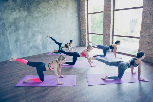 Great morning. Five young sport women are stretching in modern studio on purple mats. Freedom, calmness, harmony and relax, women happiness concept — Stock Photo, Image