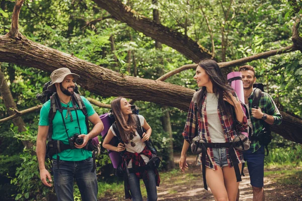 Bliska przycięte portret czterech przyjaciół wesoły w drewno ładne lato. Są one pieszych wycieczek, spacerów i wybierając miejsce na camping, obejmując, pozowanie do zdjęć — Zdjęcie stockowe