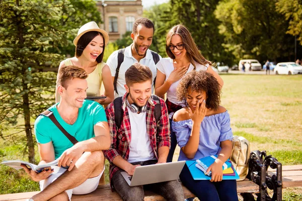 Так проще вместе! Шесть веселых одноклассников сидят на клетке на зеленой траве в весеннем парке возле кампуса и учатся, готовятся к экзаменам, тестам, смотрят в камеру и улыбаются — стоковое фото