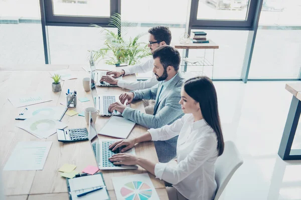 Toppsikt over tre hvite krager som sitter og arbeider i officen – stockfoto