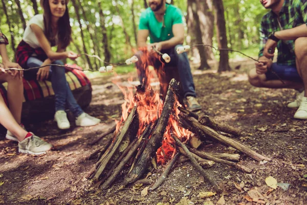 Close up cropped shot of fire place, four cheerful serene touris — Stock Image Close up cropped shot of fire place, four cheerful serene touris Stock Image