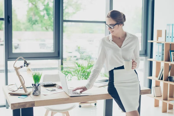 Succès féminin brun économiste chevelu professionnel in forma — Photo