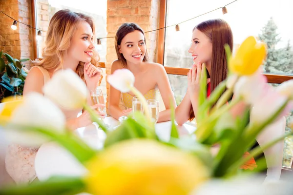 Três meninas bonitas e charmosas comemorando aniversário, dia das mulheres , — Fotografia de Stock