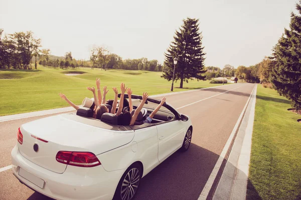 Rêveuse dames et gars chauffeur, poussins copines en chapeaux chapeaux hea — Photo