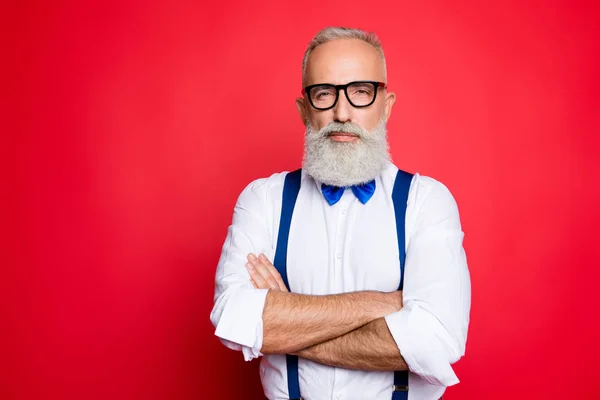 Retrato de profesional, fresco, viejo estilista, experto con radiante — Foto de Stock