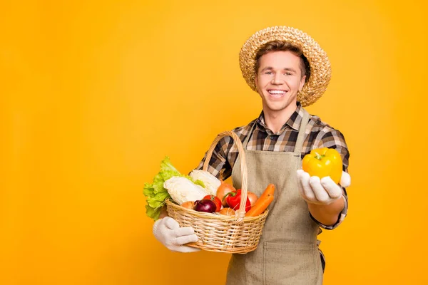Vendita senza OGM venditore marketing agronomo insalata cipolla cabb carota — Foto Stock